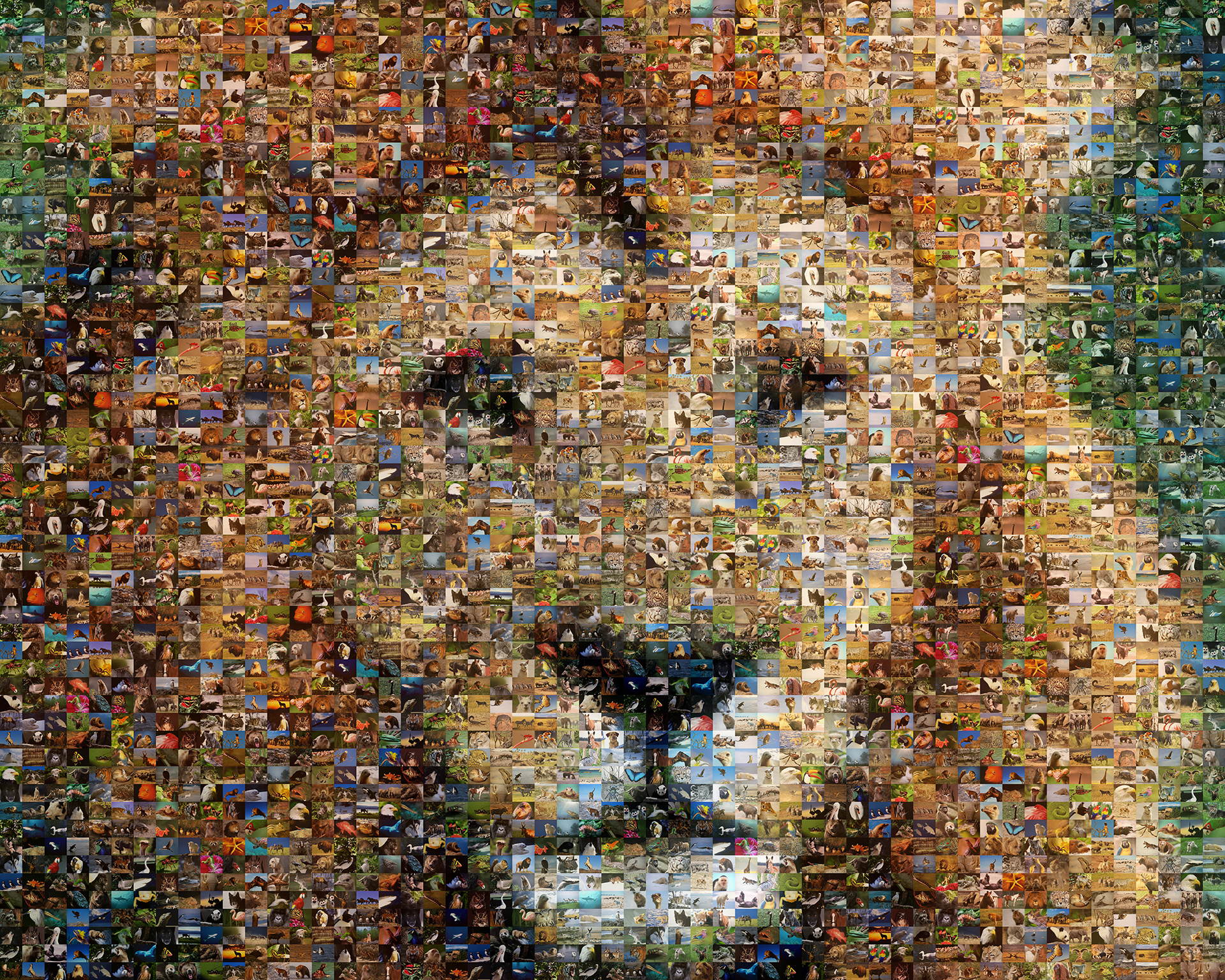 photo mosaic created using over 600 unique photos of animals and wildlife
