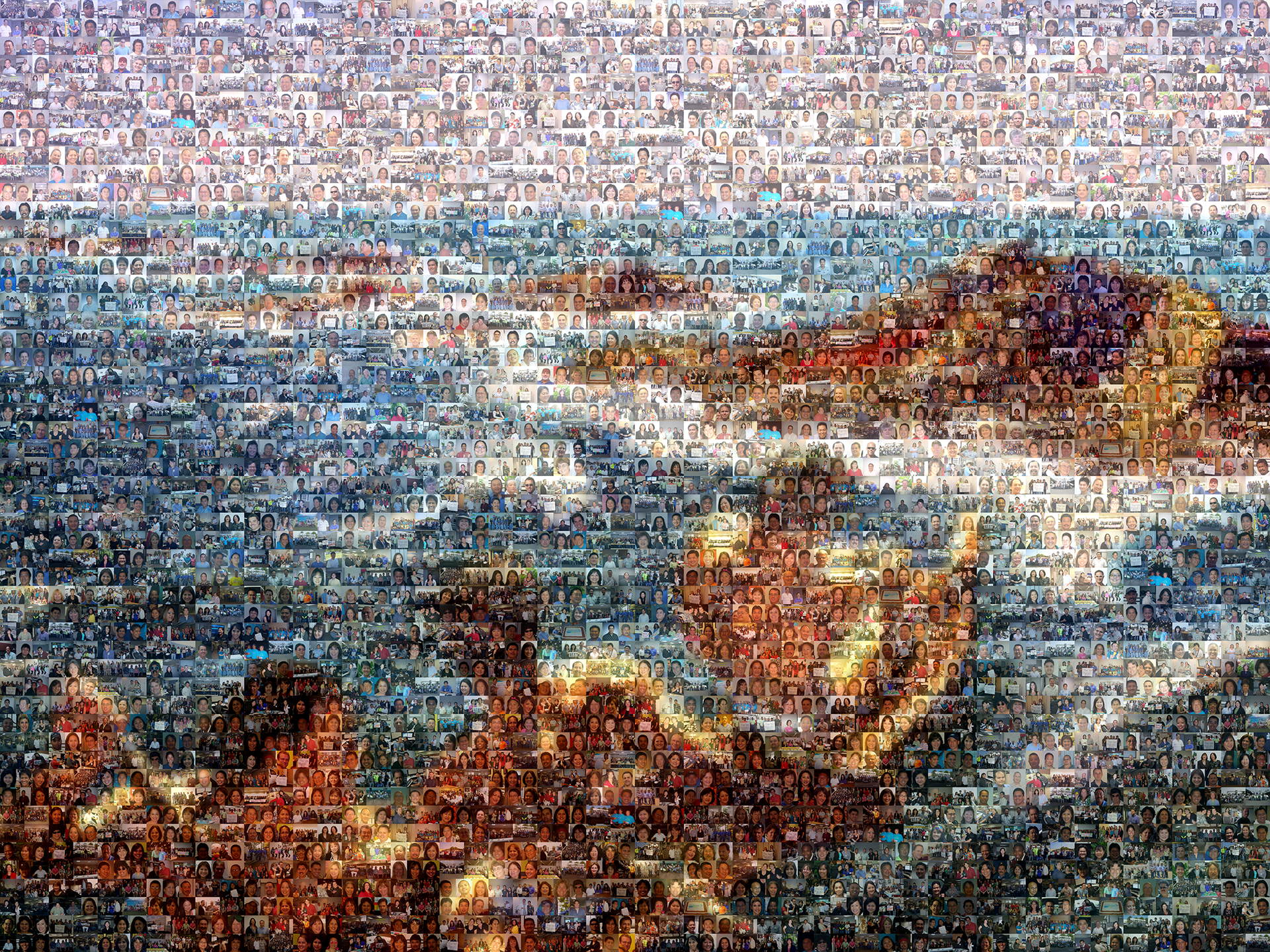 photo mosaic This mural was created using two different cell orientations totaling approximately 900 unique photos