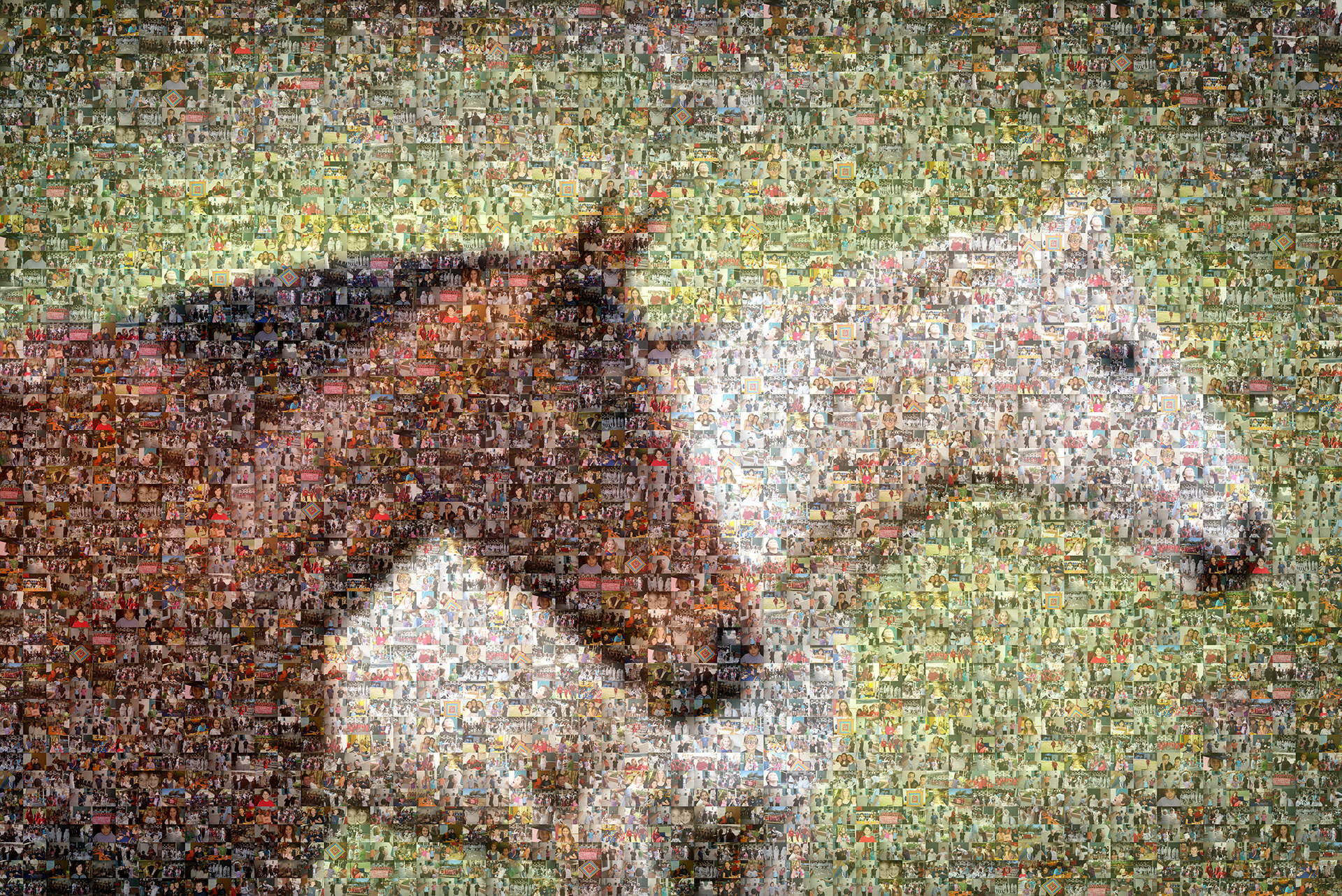 photo mosaic created using 246 student portraits
