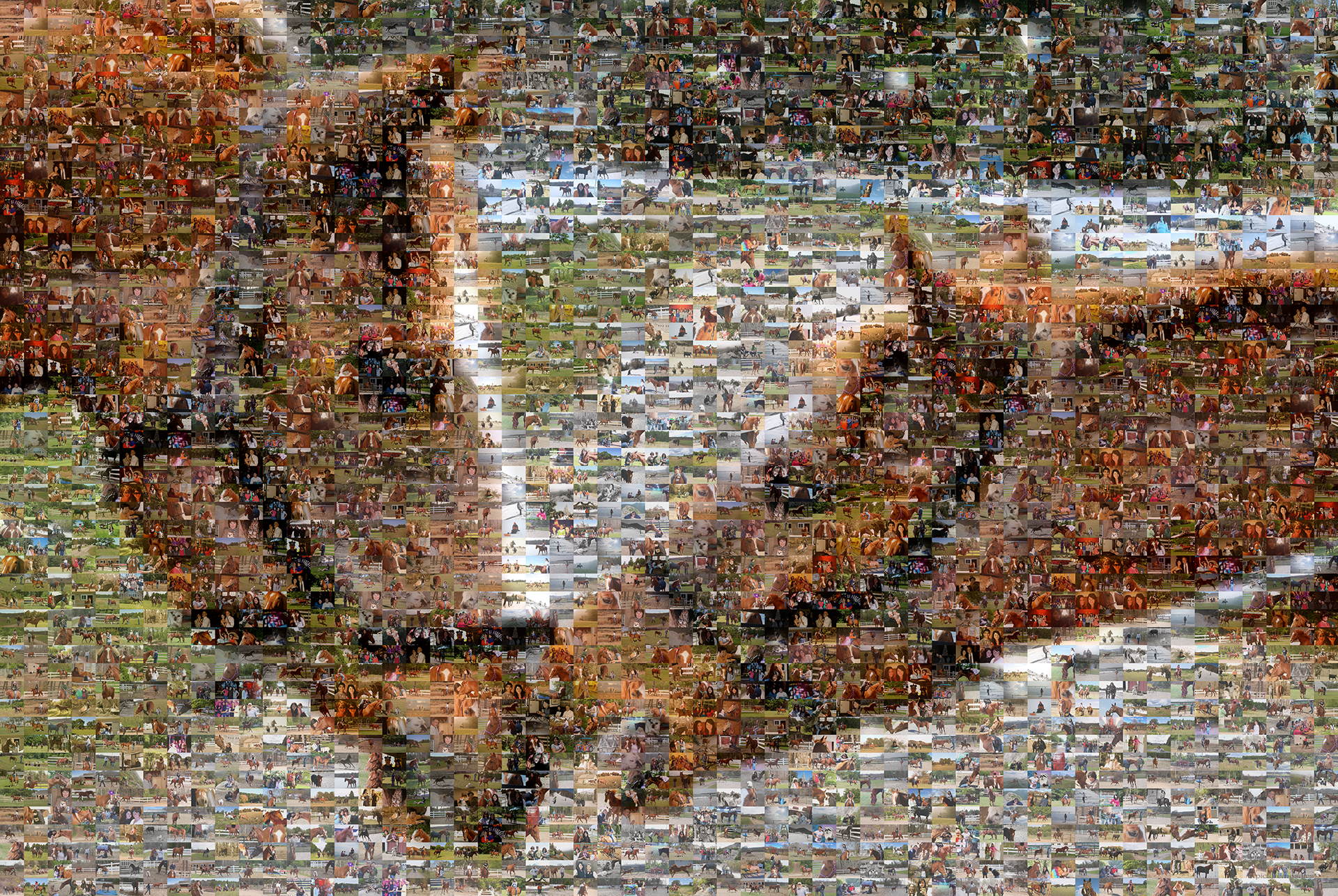 photo mosaic created using 652 photos
