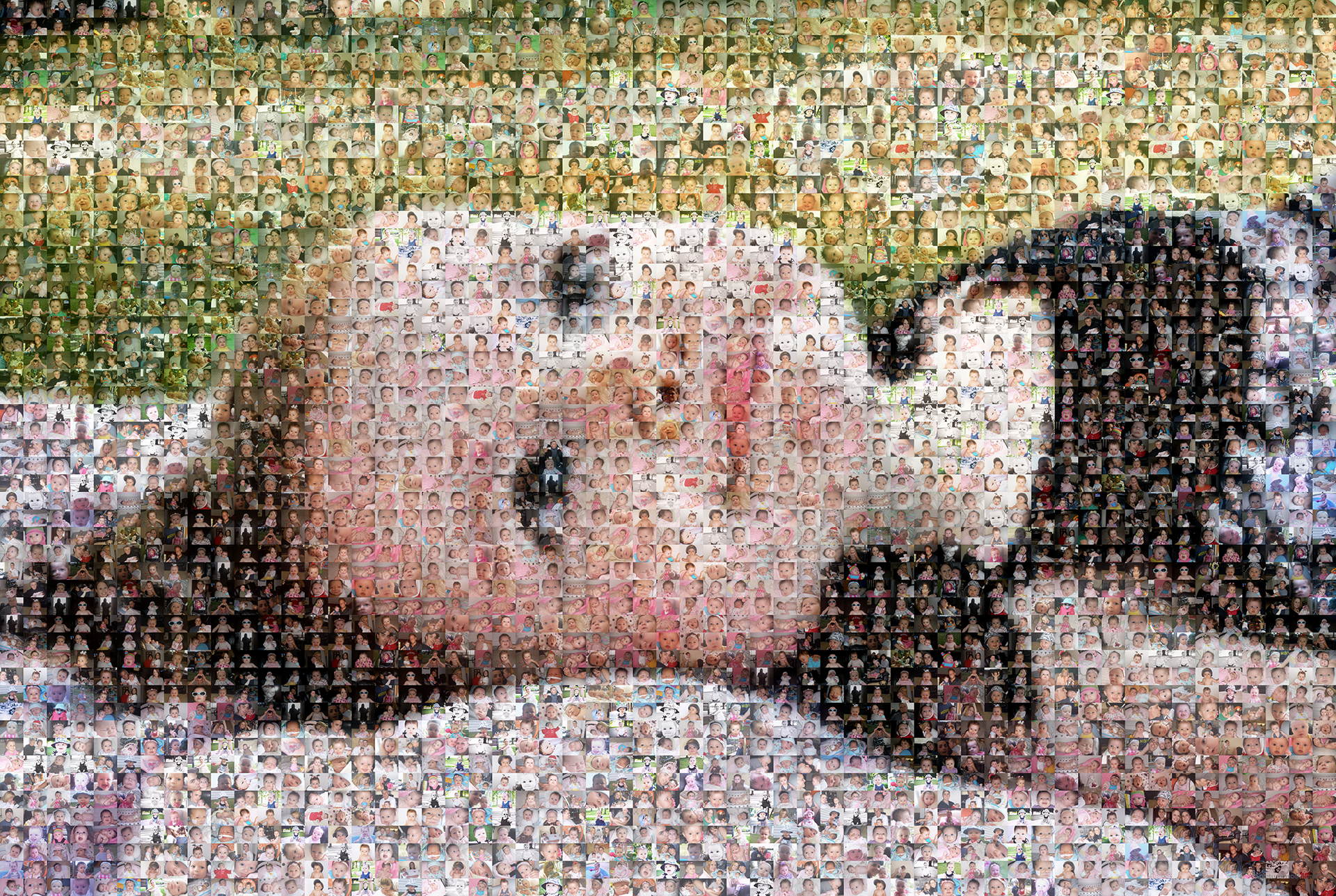 photo mosaic created using 820 photos of this beautiful baby