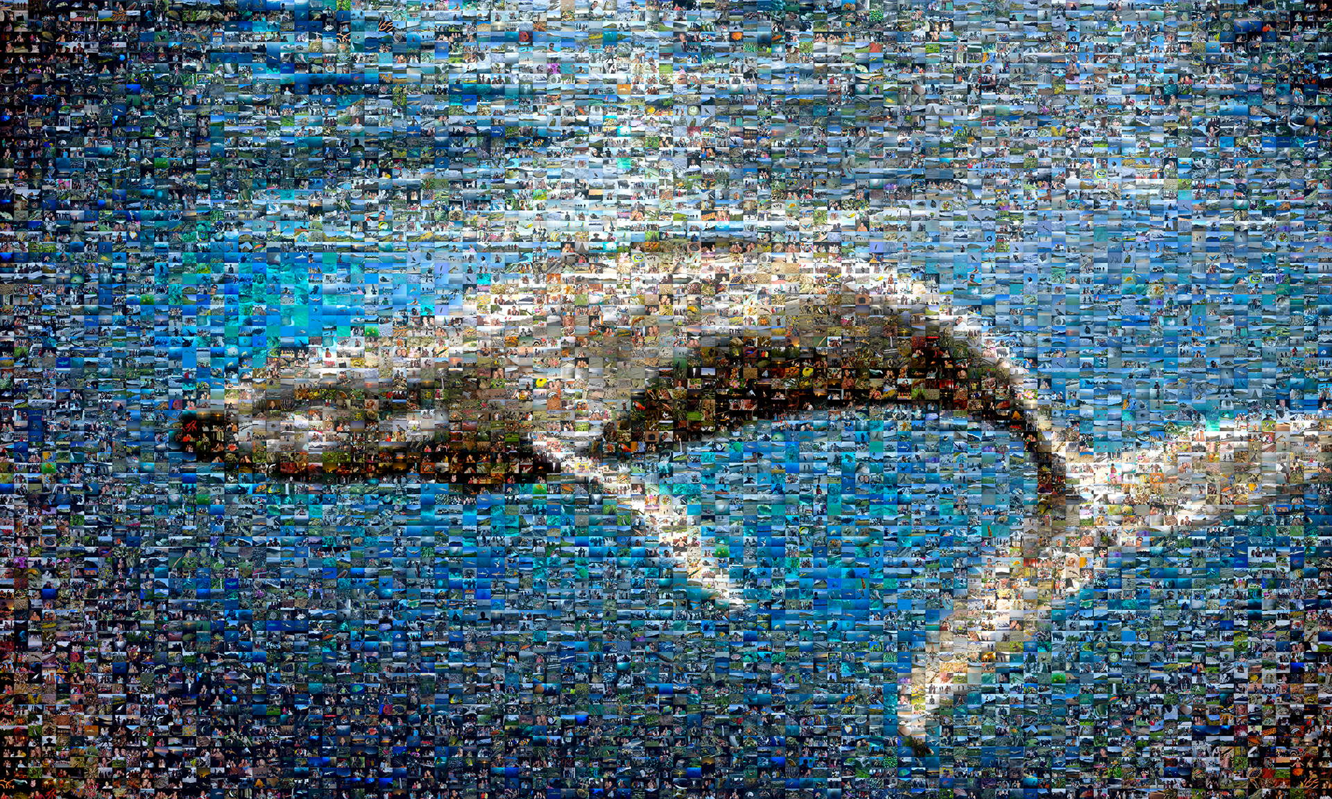 photo mosaic 445 ocean, nature, and travel images make up this Ocean First mosaic