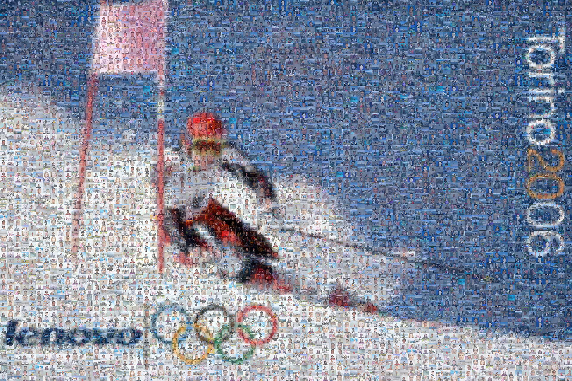 photo mosaic 4' x 6' wall mural created using over 1500 customer selected photos