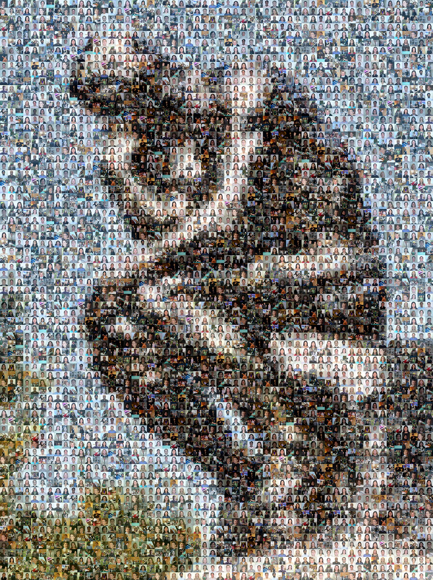 photo mosaic created using 145 employee photos
