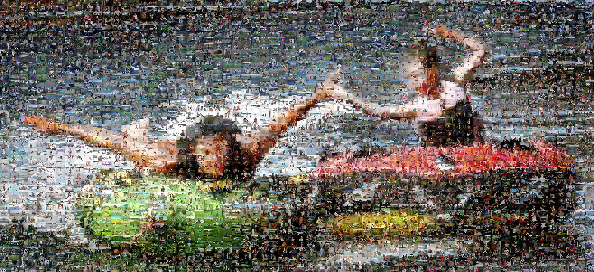 photo mosaic this action shot was captured as a mosaic using 2,773 family photos