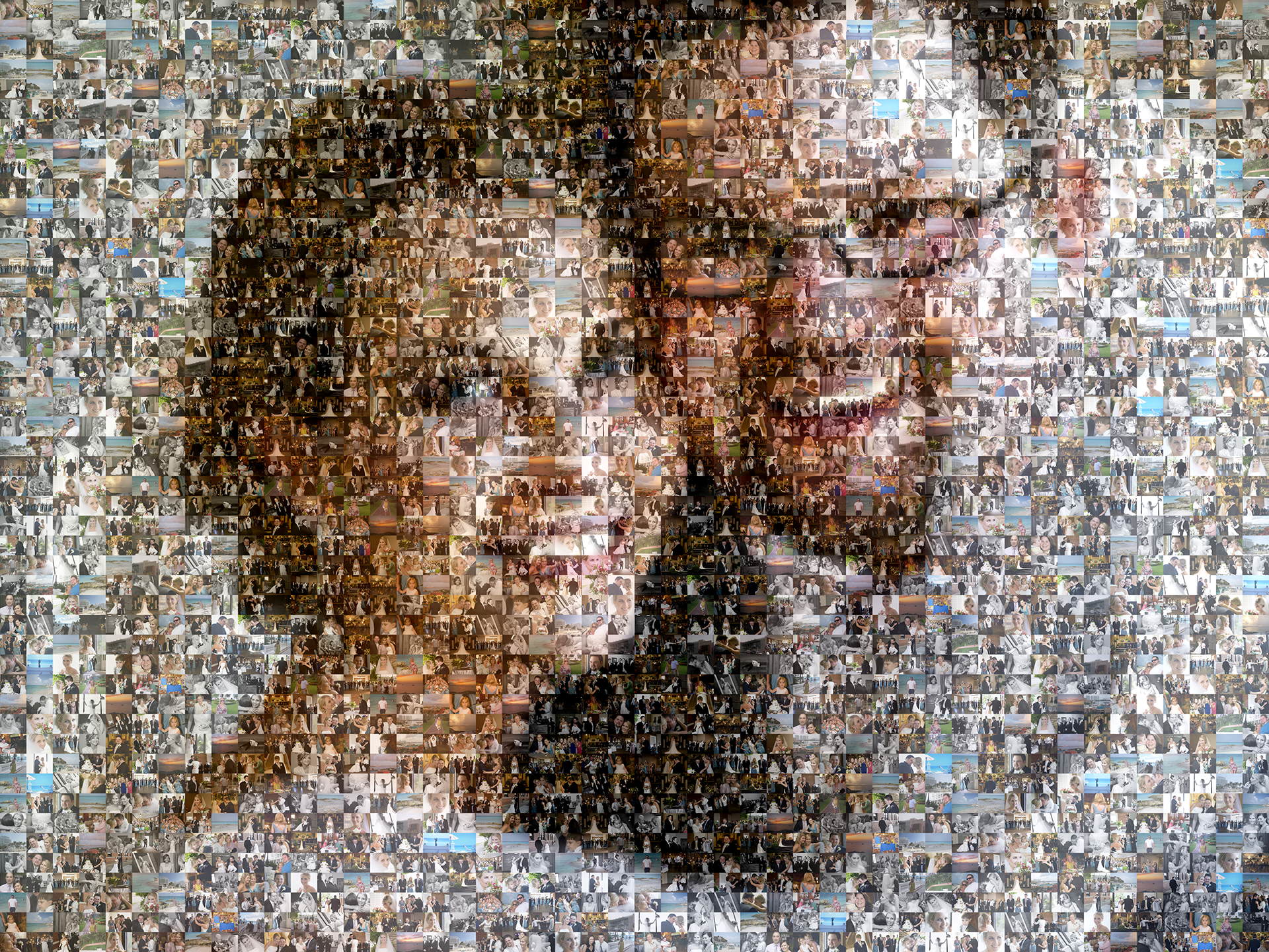 photo mosaic created using 229 wedding photos