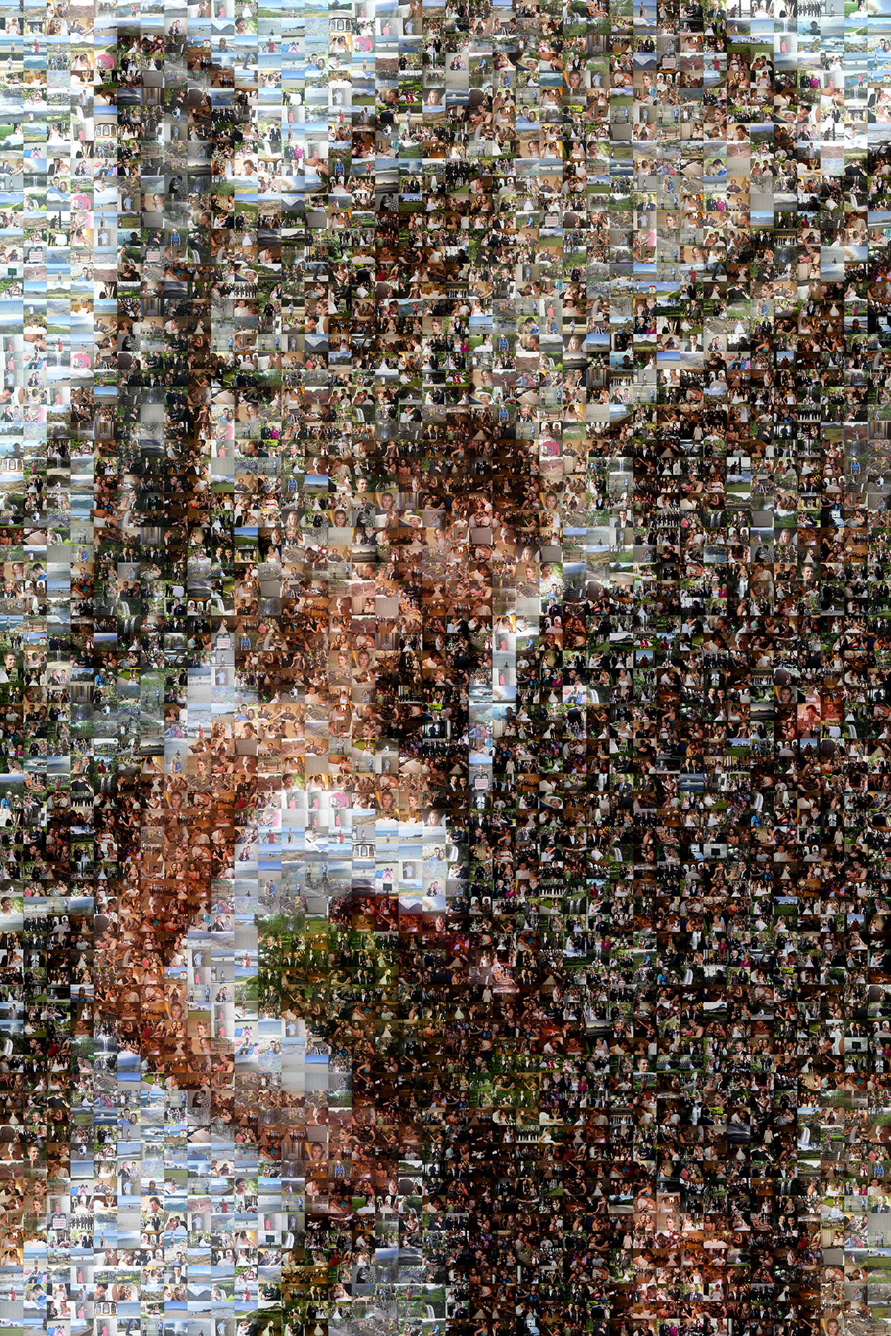 photo mosaic created using 496 photos of the happy couple